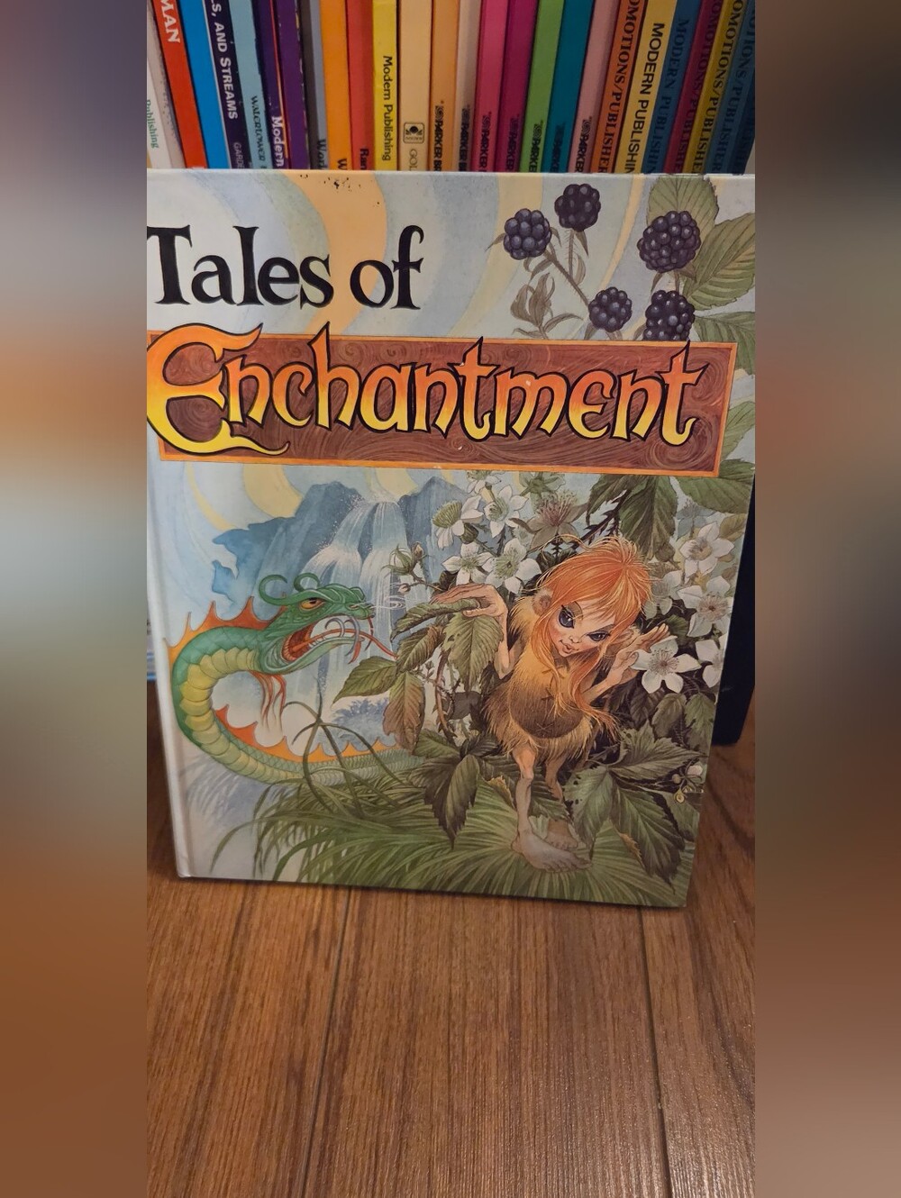 Tales of Enchantment Illustrated Fantasy Book - 1980